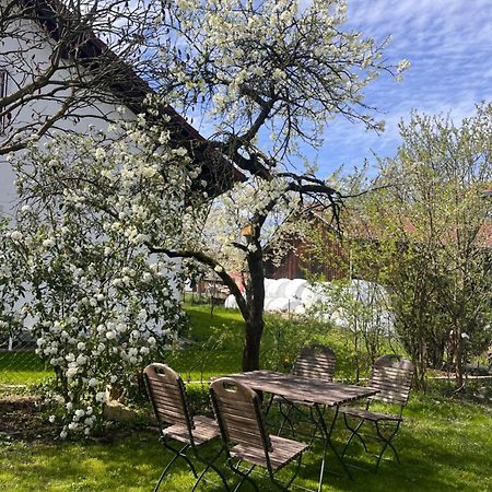 Zimmer Zum Wohlfuehlen Eching  Esterno foto